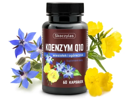 koenzym q10 owoc-min.webp
