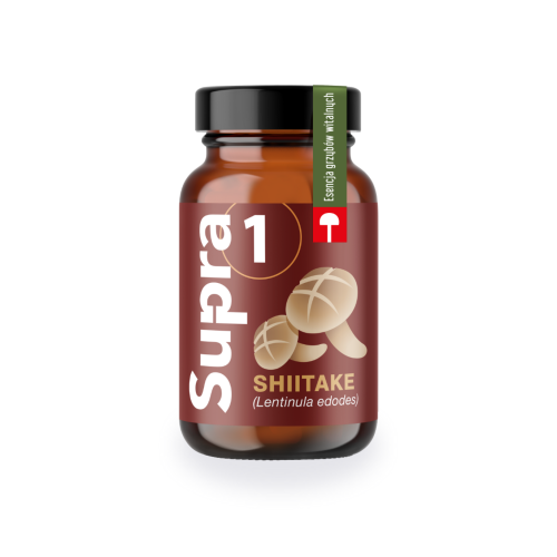 Supra1_Shitake_18012024.png