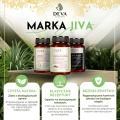 marka-Jiva-768x768.webp