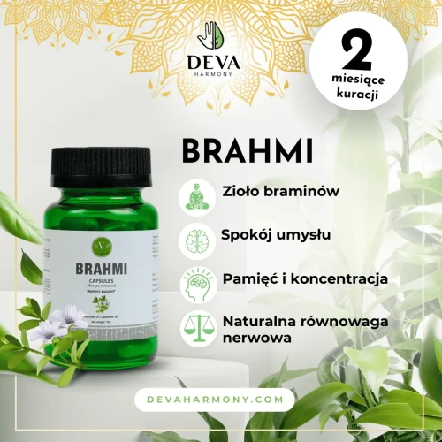 Brahmi-Vanan-2.webp